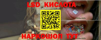 наркотики Гатчина