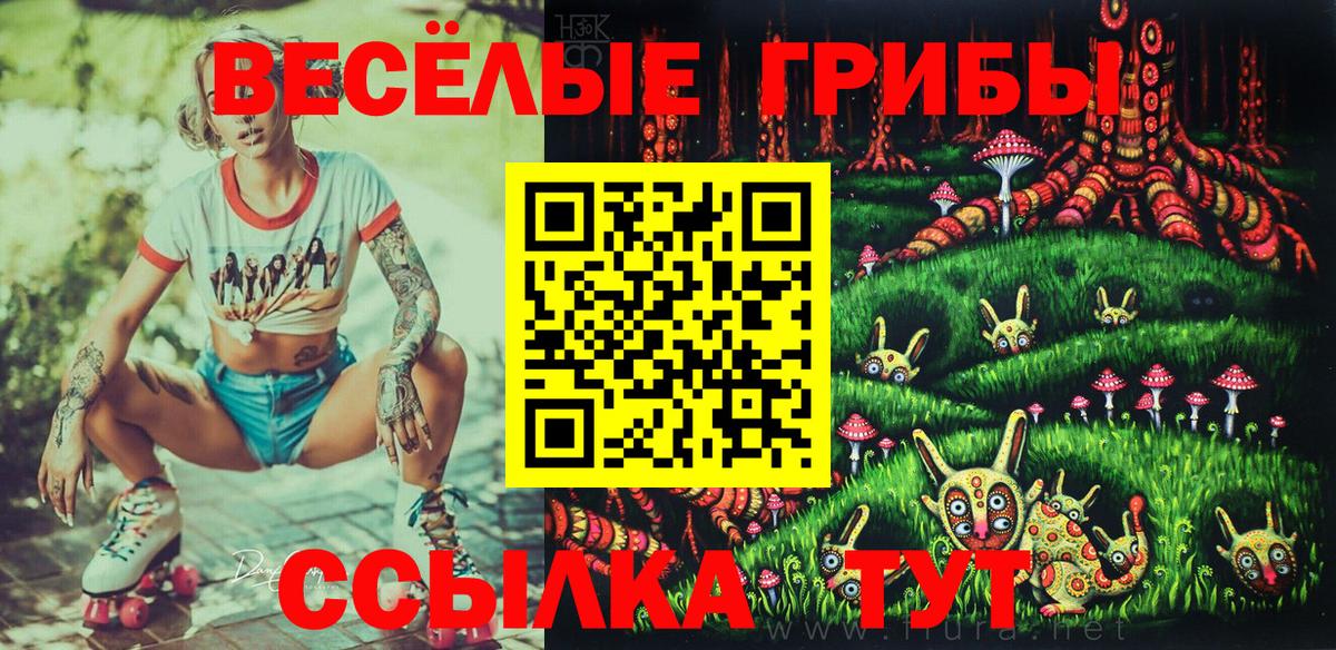 Нерюнгри  Псилоцибиновые грибы Psilocybe  Галлюциногенные грибы Psilocybine cubensis  Вход с VPN 